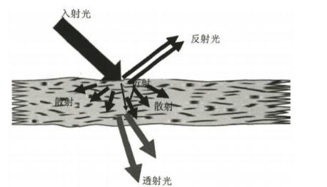 納米纖維素：透明紙基材料定義、分類、制備方法及應(yīng)用