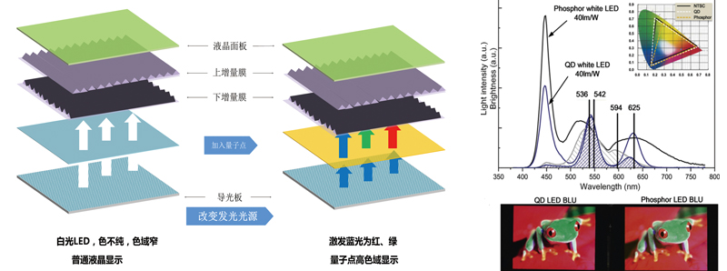 量子點顯示