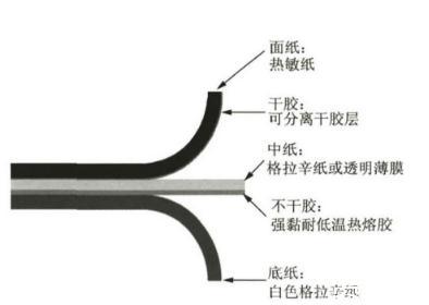 納米纖維素：透明紙基材料定義、分類、制備方法及應(yīng)用