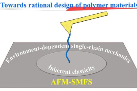 崔樹勛教授利用單分子力譜研究高分子單鏈彈性的環(huán)境響應