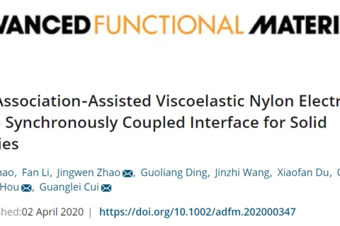 尼龍基高粘彈性聚合物固態(tài)電解質！