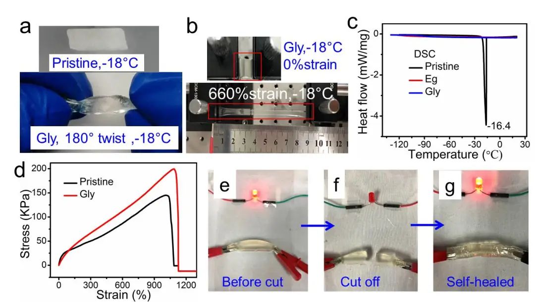 中山大學吳進《ACS AMI》：基于熱穩(wěn)定、自修復有機水凝膠的高靈敏、可拉伸溫度傳感器