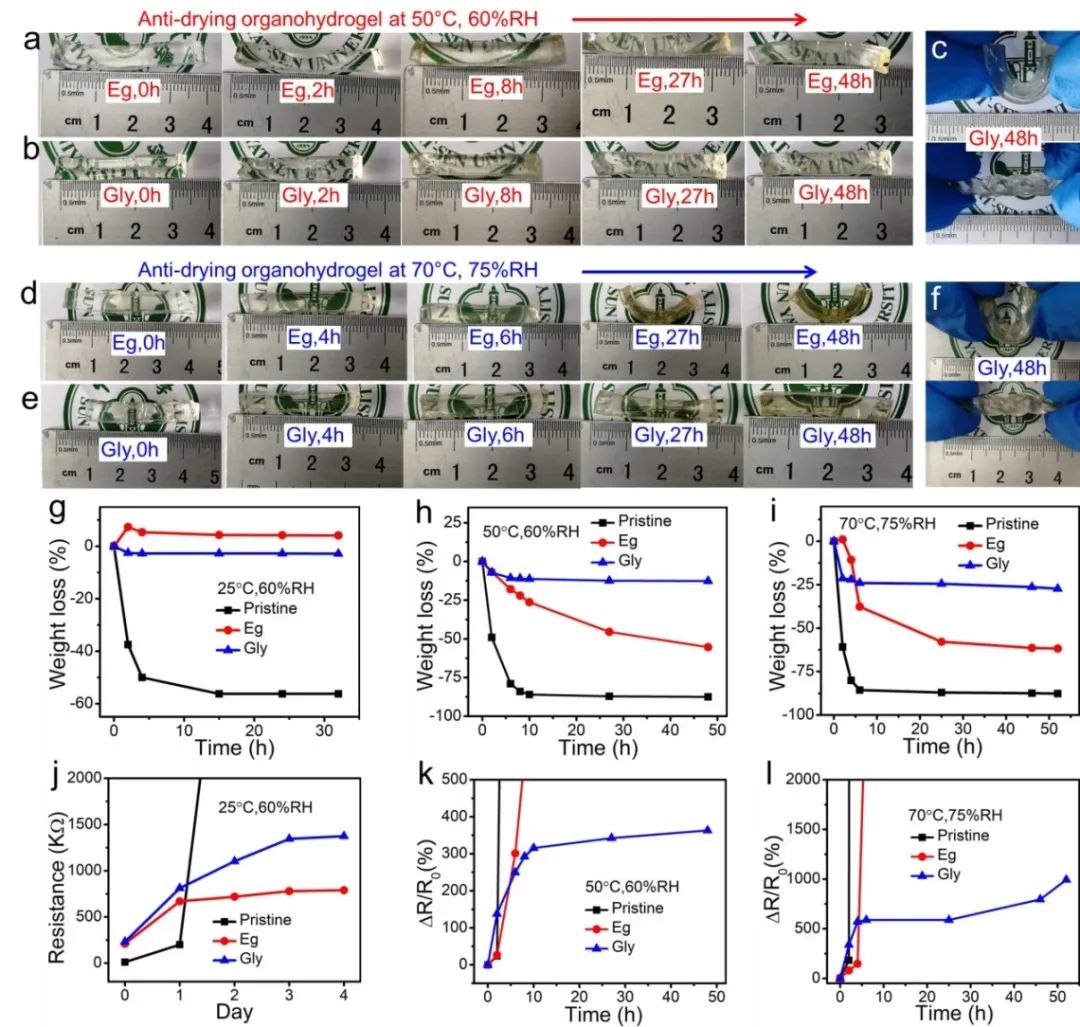 中山大學吳進《ACS AMI》：基于熱穩(wěn)定、自修復有機水凝膠的高靈敏、可拉伸溫度傳感器