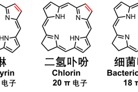 納米MOF穩(wěn)定細菌卟啉用于I型和II型同步的光動力療法