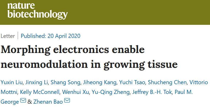 鮑哲南《Nature Biotech. 》: 可形變生物電子器件攻克體內植入難題