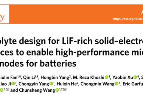 王春生《自然·能源》富LiF新型電解液的設(shè)計(jì)助力高性能微米級(jí)合金陽(yáng)極電池