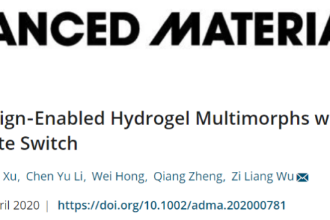 浙江大學吳子良《AM》：當水凝膠遇到剪紙藝術(shù)，智能材料會是什么樣？