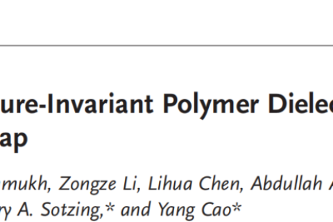 所見最佳柔性聚合物電介質(zhì)，適用于極端環(huán)境！