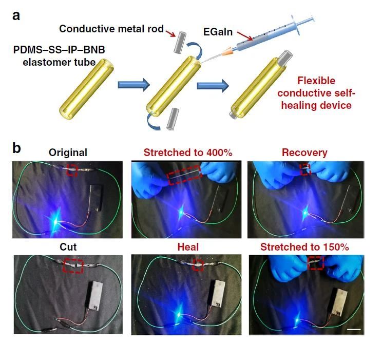 高度可拉伸自修復彈性體，可在各種極端條件下實現(xiàn)自修復