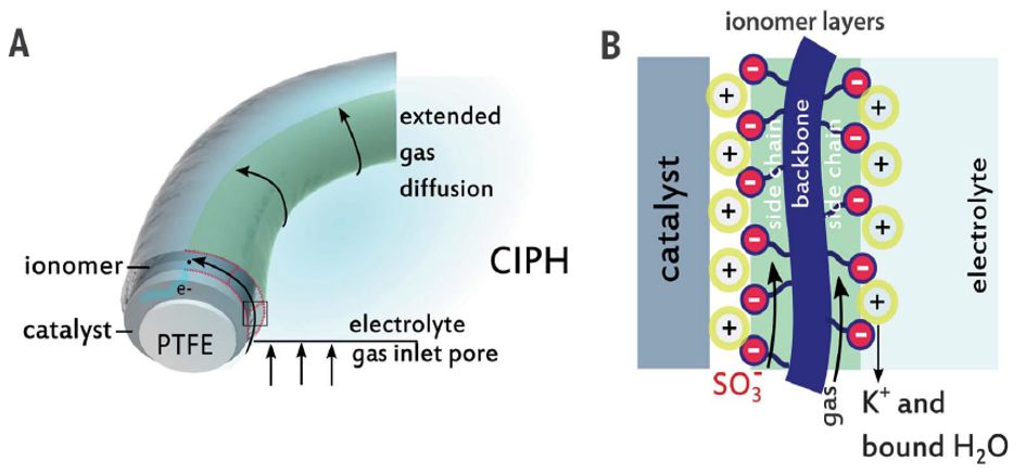 震撼！僅2個(gè)月，發(fā)表1篇Science，10余篇子刊/AM/JACS—加拿大兩院院士Sargent教授成果集錦