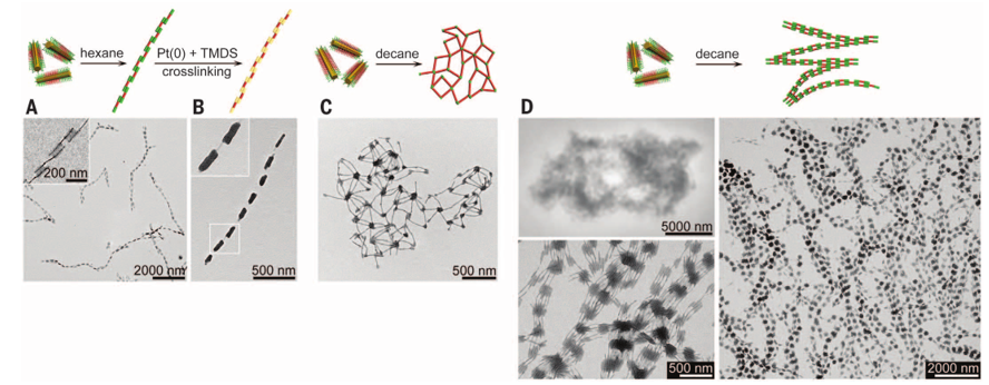 1個(gè)體系做了十余年，磨出5篇《Science》！這些膠束形貌美到令人窒息！