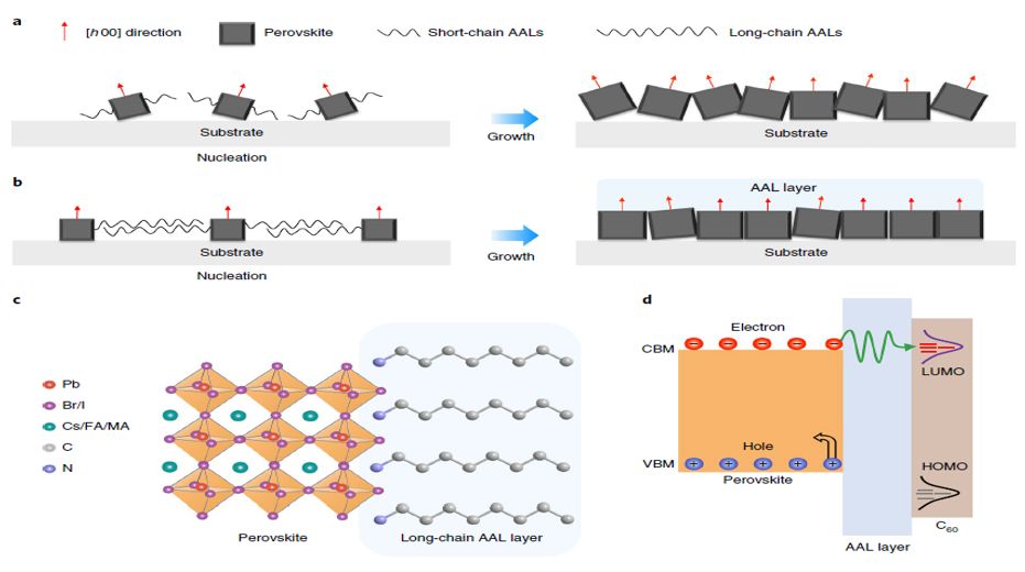 震撼！僅2個(gè)月，發(fā)表1篇Science，10余篇子刊/AM/JACS—加拿大兩院院士Sargent教授成果集錦