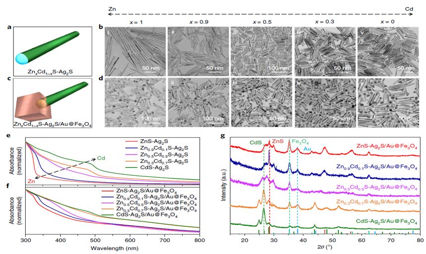 震撼！僅2個(gè)月，發(fā)表1篇Science，10余篇子刊/AM/JACS—加拿大兩院院士Sargent教授成果集錦