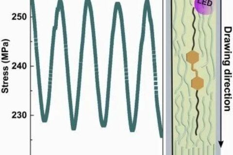 ?Matter最新研究：就這么簡(jiǎn)單，柔性聚合物拉一拉就變剛性致動(dòng)器