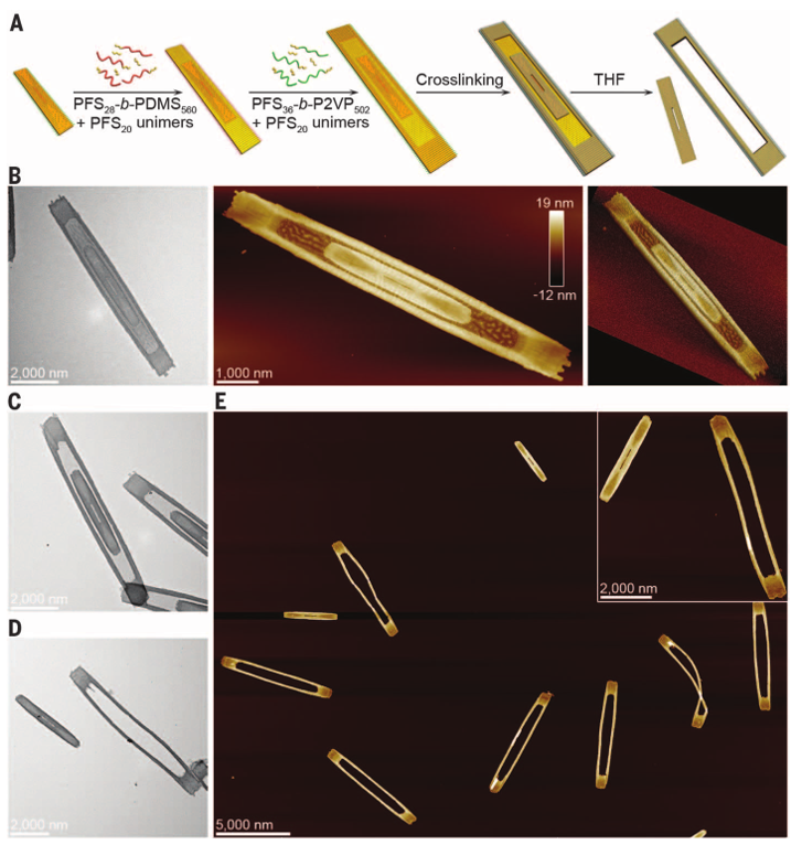 1個(gè)體系做了十余年，磨出5篇《Science》！這些膠束形貌美到令人窒息！