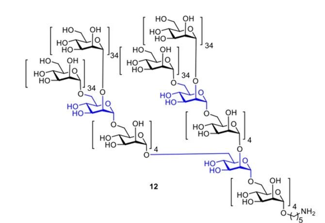 《Nature》譽(yù)為“糖之父”的Seeberger打破世界紀(jì)錄，史上最長(zhǎng)人工合成多糖！