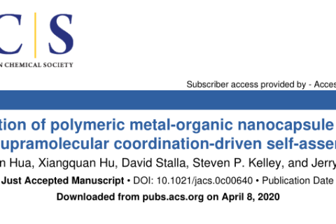 通過超分子配位驅(qū)動的自組裝技術(shù)構(gòu)建高分子金屬-有機納米膠囊網(wǎng)絡