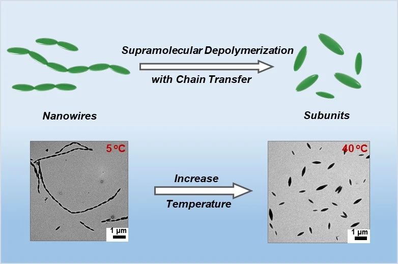 華東理工林嘉平教授團(tuán)隊(duì)在多級(jí)納米線的超分子解聚取得新進(jìn)展