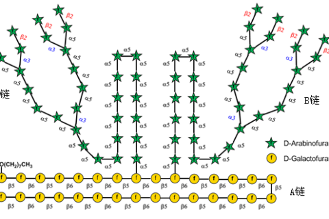 《Nature》譽(yù)為“糖之父”的Seeberger打破世界紀(jì)錄，史上最長人工合成多糖！