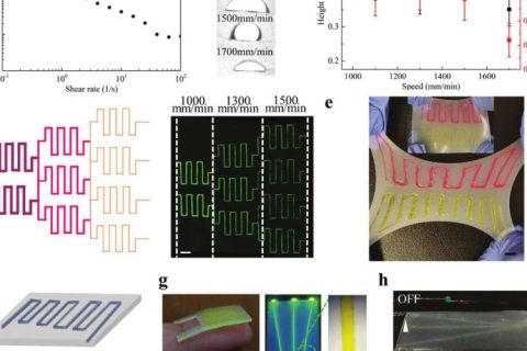 ?南方醫(yī)科大學魯峰團隊等《AFM》：相變蛋清水凝膠—朝著透明、無滯后的可穿戴電子產品發(fā)展