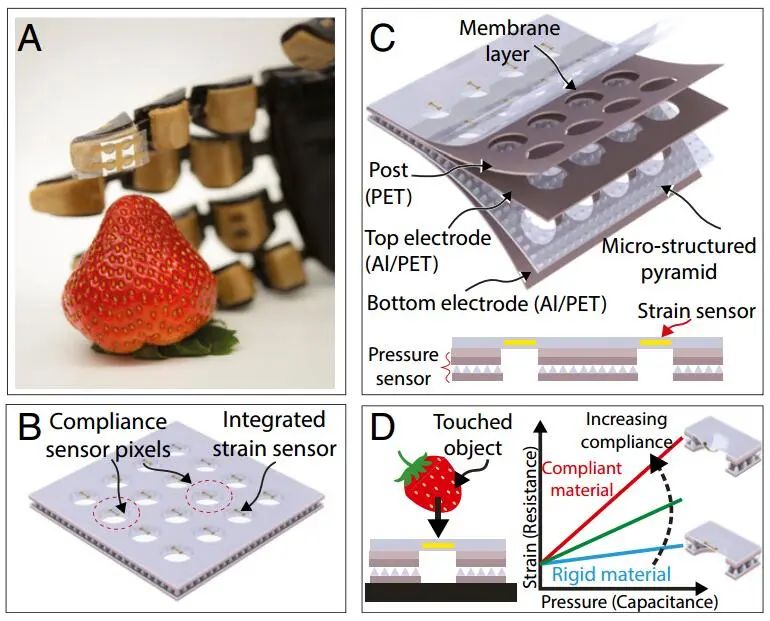 鮑哲南團隊《PANS》：人造皮膚突破性進展！順應(yīng)性傳感器助力假肢或機器人具有真人感覺