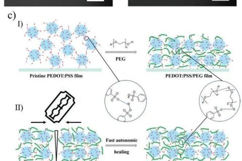 《AFM》：加點PEG，導(dǎo)電高分子實現(xiàn)自修復(fù)！