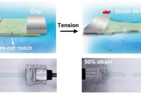 史上最柔！新型抗撕裂、自愈合柔性半導(dǎo)體！