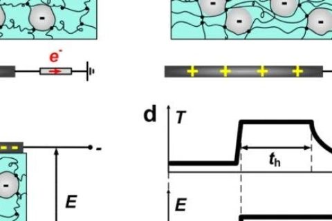 哈佛大學(xué)鎖志剛院士團隊：用這種方法，可伸縮駐極體儲存電荷60天