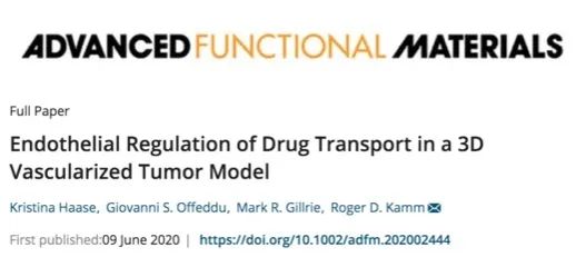 MIT《先進(jìn)功能材料》:3D血管化腫瘤芯片檢測(cè)腫瘤藥物輸送