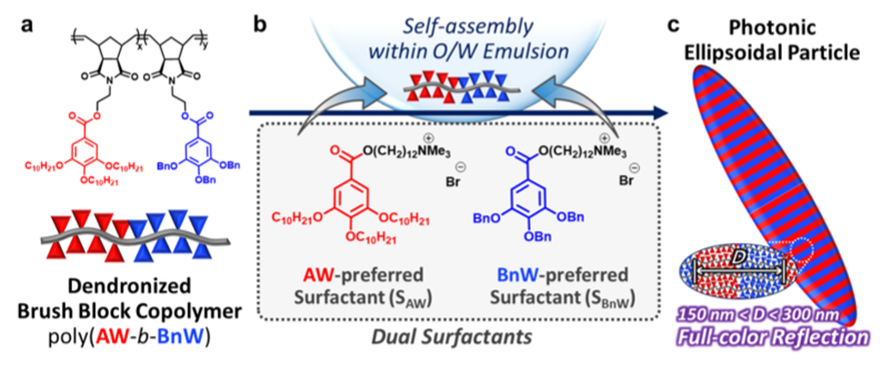 Tim Swager院士《JACS》：全光譜轉(zhuǎn)換的橢球形聚合物光子晶體粒子！