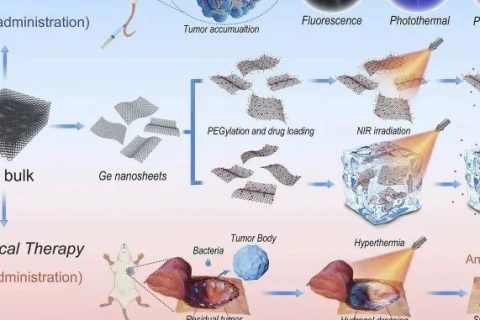 哈佛大學(xué)首用鍺烯！《Matter》鍺烯水凝膠用于抗腫瘤復(fù)發(fā)和傷口感染