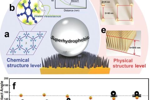 中科院青能所黃長(zhǎng)水《Small》：超穩(wěn)定超疏水石墨炔陣列，800天接觸角基本無(wú)變化！
