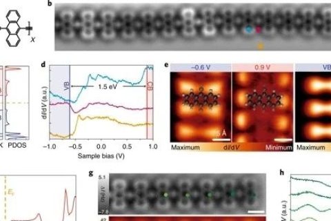 《Nature》子刊：準金屬相高分子！