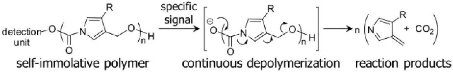 《JACS》： 像解拉鏈一樣輕松，聚合物30分鐘解聚為小分子