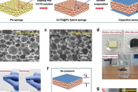 挑戰(zhàn)靈敏度極限！《AFM》：用于超高靈敏度壓力和應(yīng)變電容傳感器的泡沫復(fù)合介電材料