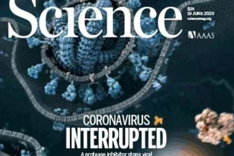 了不起！90后副教授在《science》上發(fā)表評述論文