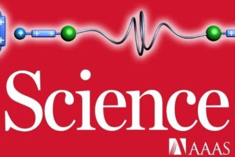 《Science》諾獎得主Sir Fraser又一力作：分子機器精確合成聚輪烷