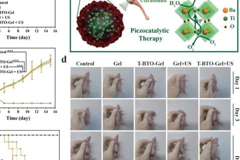 施劍林院士、陳雨研究員《先進材料》：超聲引發(fā)鈦酸鋇壓電性用于無創(chuàng)壓電催化腫瘤療法