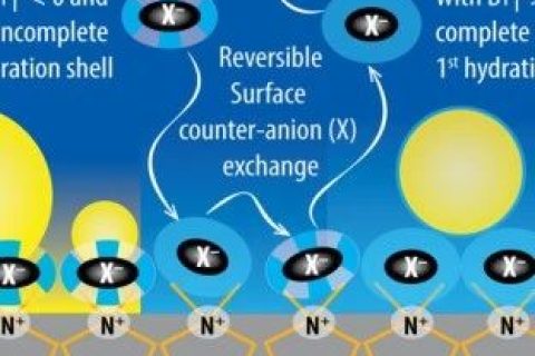 吉林大學汪大洋教授《德國應化》：陰離子水合作用新發(fā)現！可用于制備自清潔涂層