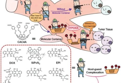 史林啟/劉陽/郭東升《先進材料》：以低氧敏感超分子作船，載藥劃向腫瘤