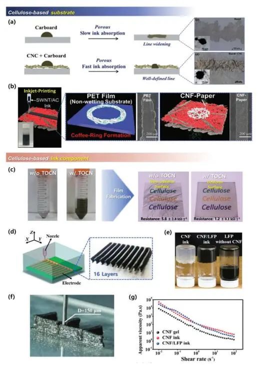 《先進材料》綜述：為什么要用纖維素？纖維素基電化學儲能器件的優(yōu)勢何在？