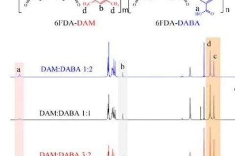 膜科學(xué)頂尖大牛William J. Koros院士：玻璃態(tài)聚酰亞胺氣體分離膜新進展