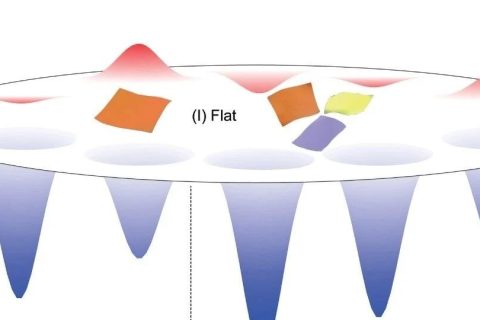 浙江大學(xué)許震、高超與清華大學(xué)徐志平合作《Matter》：?jiǎn)螌友趸┠Ｐ完U明二維大分子溶液構(gòu)象之謎