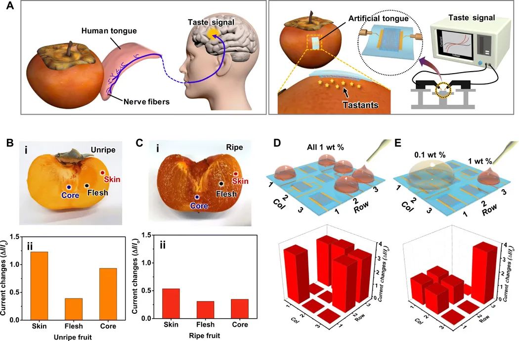 機(jī)器人也能“品味人生”？“人造舌頭”登上《Science》子刊，可“品嘗苦澀、分辨生熟”