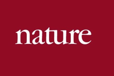 ?《Nature》重磅：微凝膠自模版組裝圖案結構