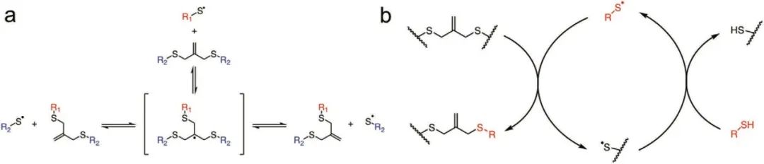 ?僅15秒！《AM》超快光降解生物水凝膠支架用于類器官傳代