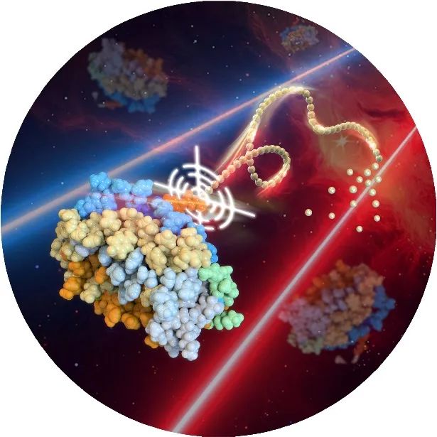 北京大學高衛(wèi)平《德國應用化學》綜述：提出“蛋白質(zhì)-高分子精準偶聯(lián)”概念