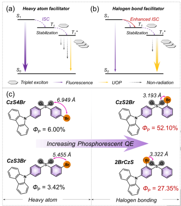 中山大學(xué)《Angew》：量子效率52%！超長(zhǎng)有機(jī)磷光材料量子效率再獲突破