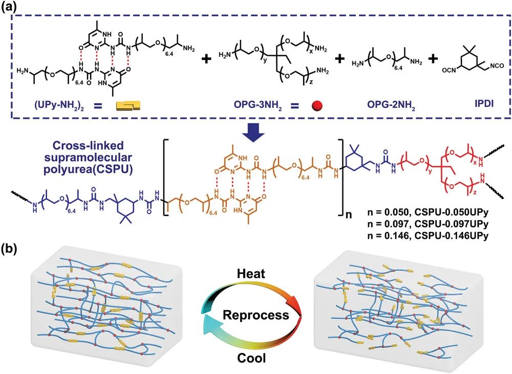 張希院士團隊《AM》：高韌性、可多次回收的超分子聚氨酯