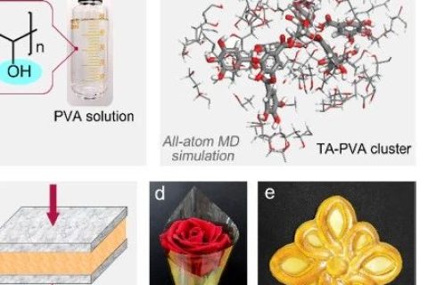 超越天然蛛絲！超高強(qiáng)度、極高韌性的超分子聚合物材料